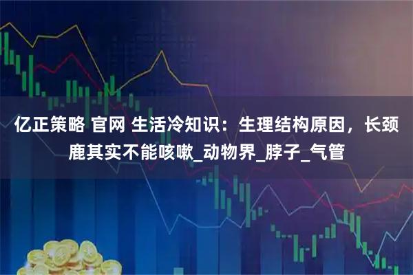 亿正策略 官网 生活冷知识:生理结构原因,长颈鹿其实不能咳嗽_动物界_脖子_气管