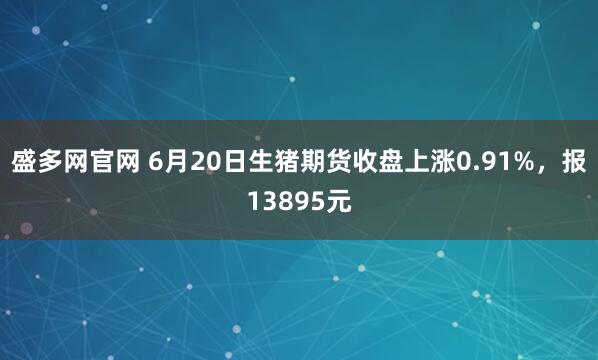 盛多网官网 6月20日生猪期货收盘上涨0.91%，报13895元