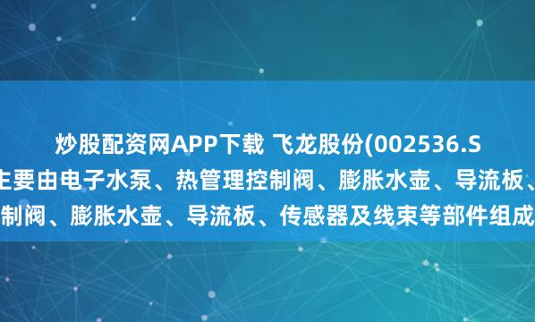炒股配资网APP下载 飞龙股份(002536.SZ)：热管理集成模块产品主要由电子水泵、热管理控制阀、膨胀水壶、导流板、传感器及线束等部件组成